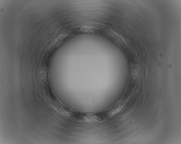 X0000070360603200606231624