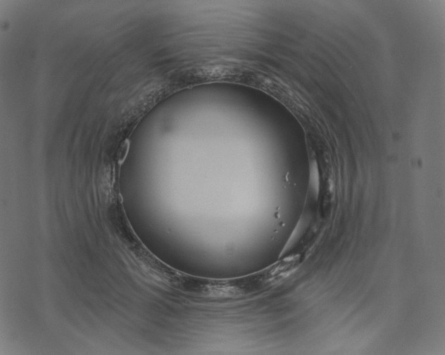 X0000070360605200606231624