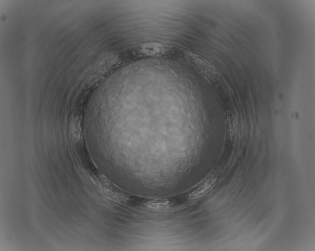 X0000070360606200606231624