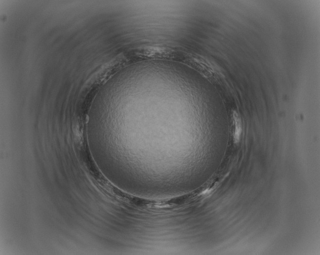 X0000070360607200606231624