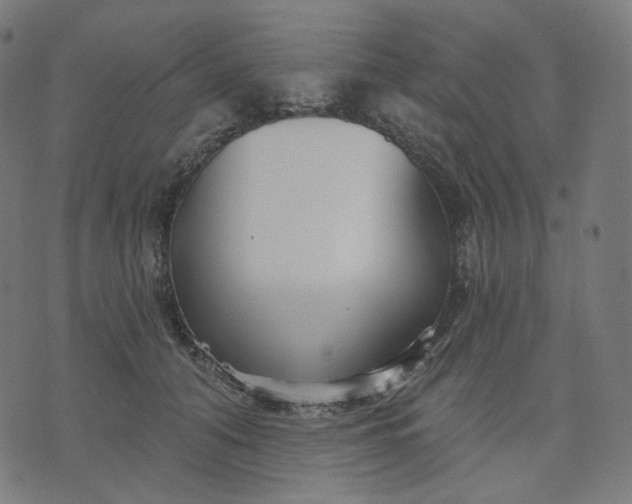 X0000070360608200606231624