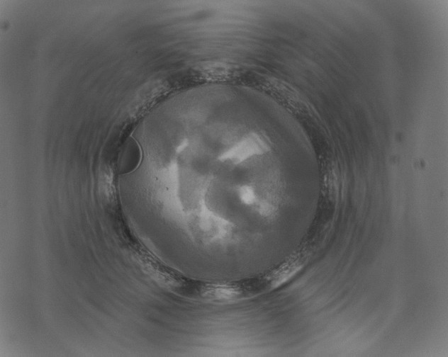 X0000070360610200606231624