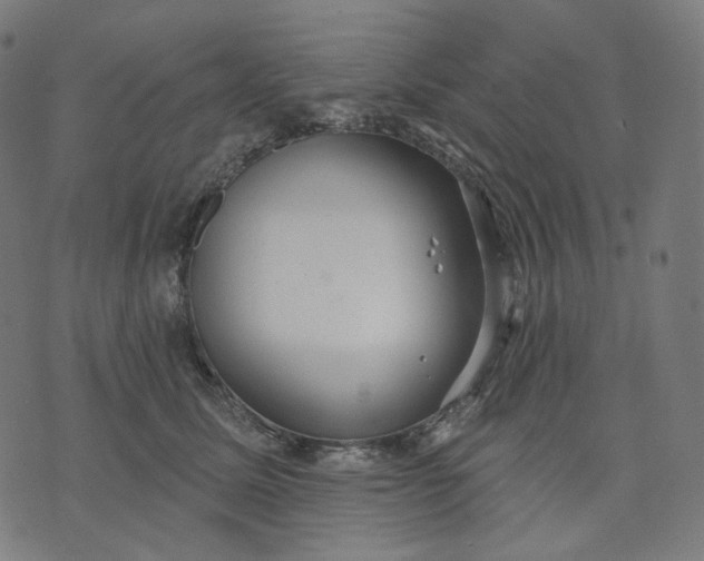 X0000070360611200606231624