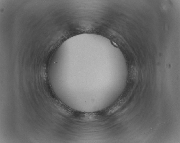 X0000070360612200606231624