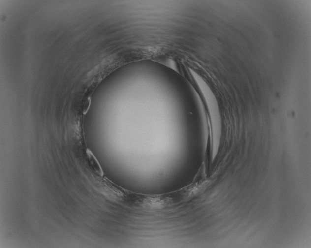 X0000070360613200606231624