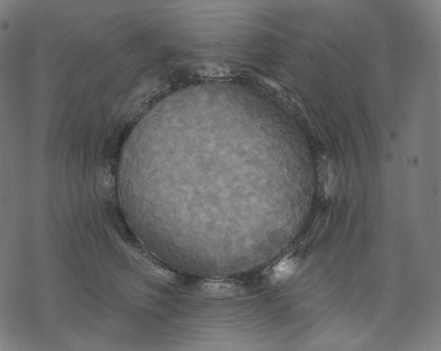 X0000070360614200606231624