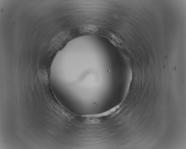 X0000070360617200606231624