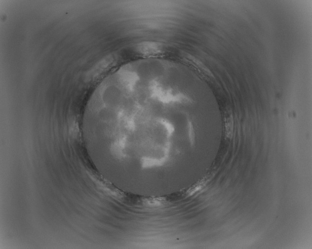 X0000070360618200606231624