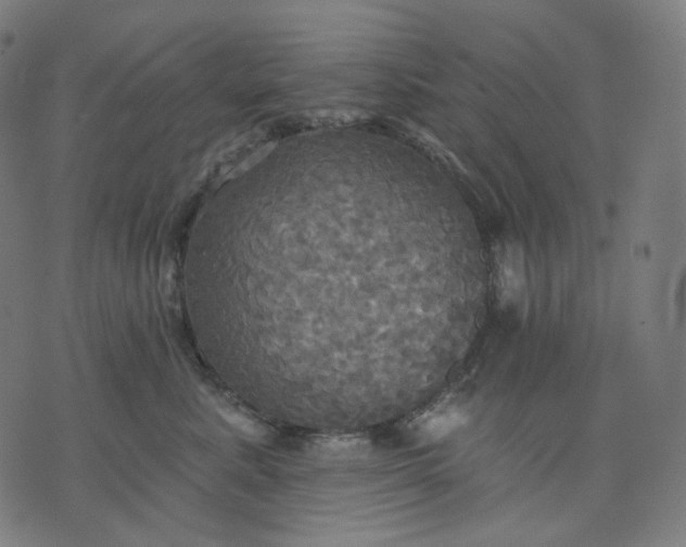 X0000070360619200606231624