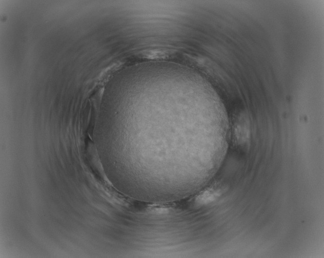 X0000070360620200606231624