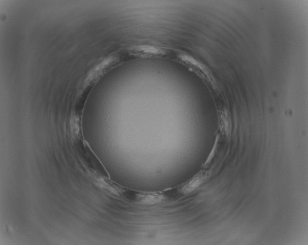 X0000070360621200606231624