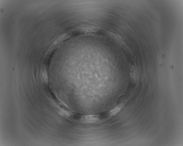 X0000070360622200606231624