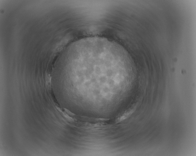 X0000070360624200606231624