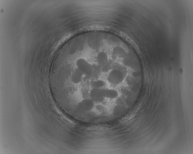 X0000070360625200606231623