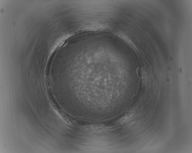 X0000070360626200606231623