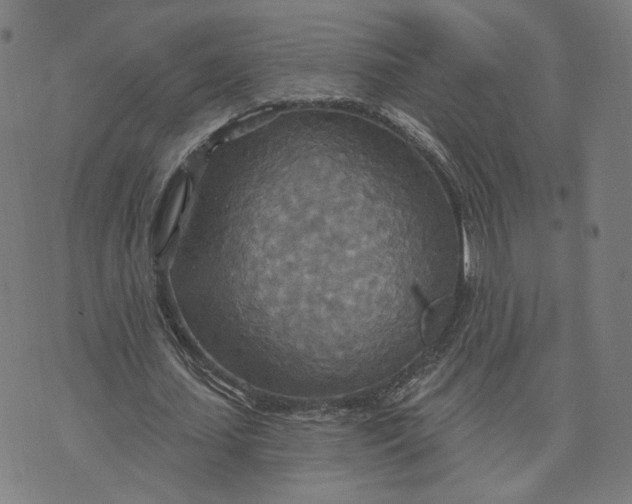 X0000070360627200606231623