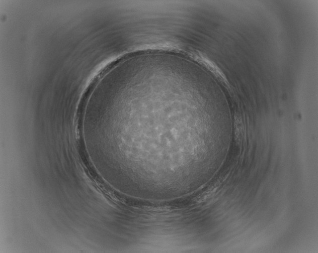 X0000070360628200606231623