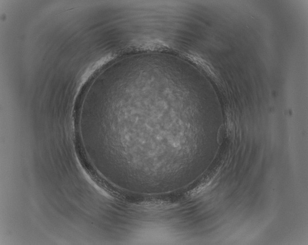 X0000070360630200606231623