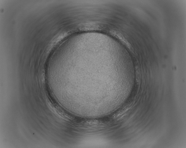 X0000070360631200606231623