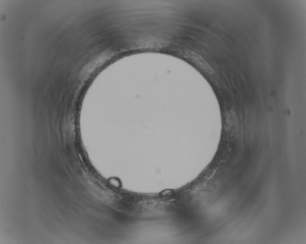 X0000070360632200606231623