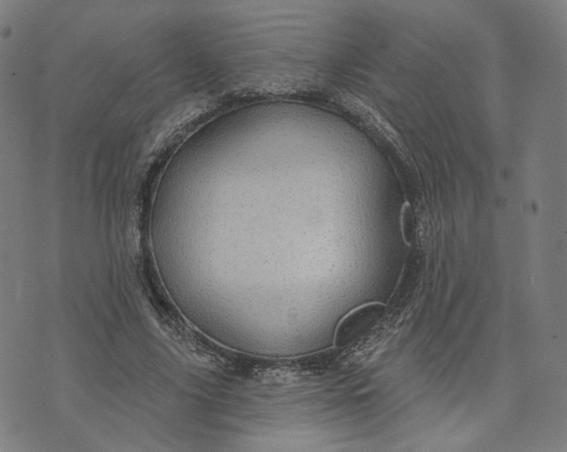 X0000070360635200606231623