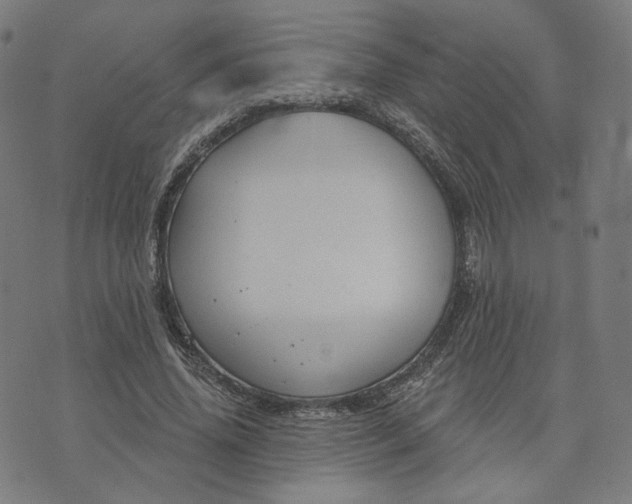 X0000070360636200606231623