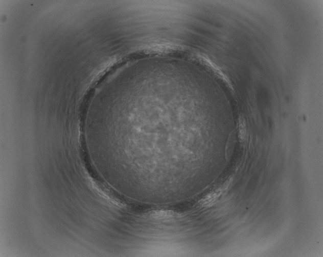 X0000070360637200606231623