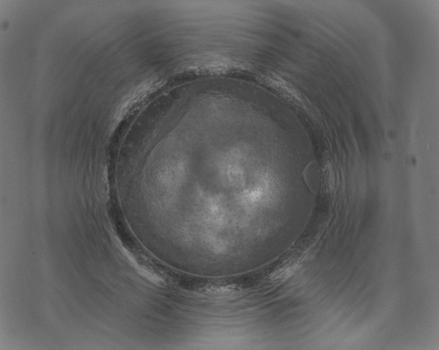 X0000070360638200606231623