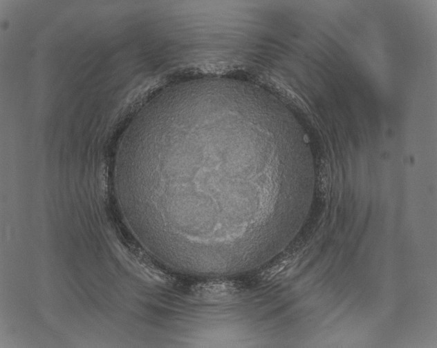 X0000070360639200606231623