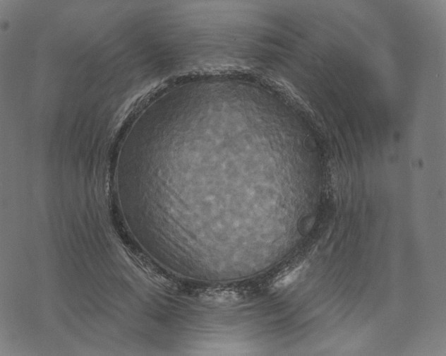 X0000070360640200606231623