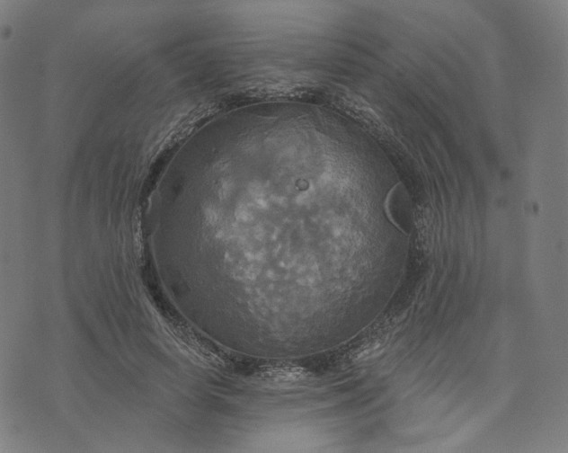 X0000070360642200606231623