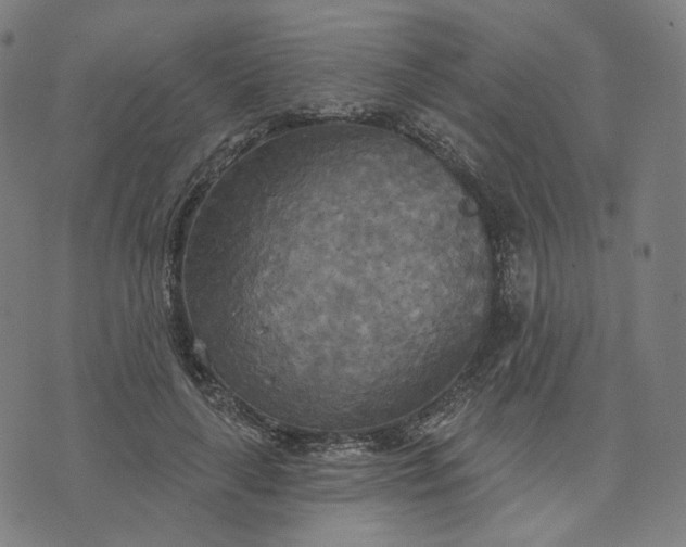 X0000070360643200606231623