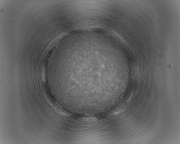 X0000070360644200606231623