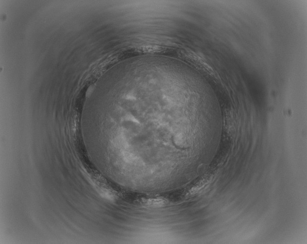 X0000070360645200606231623