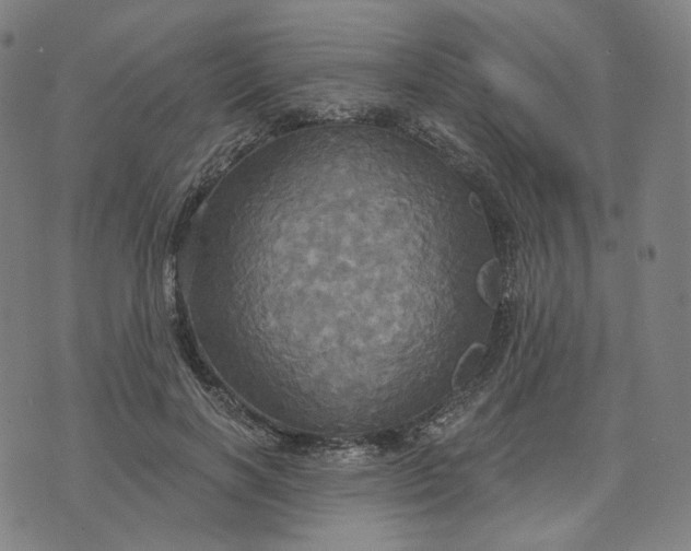 X0000070360646200606231623