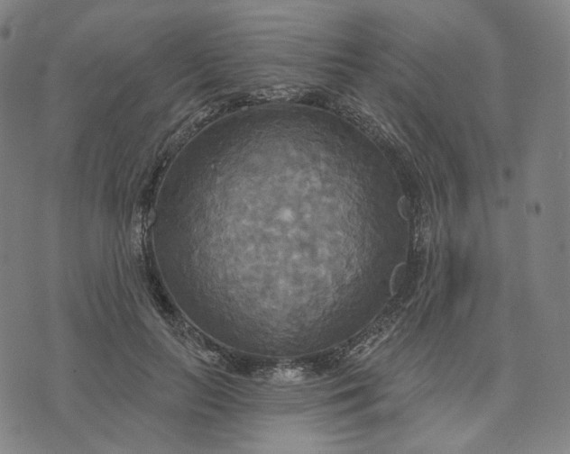 X0000070360647200606231623