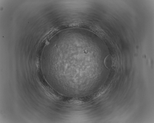 X0000070360648200606231623