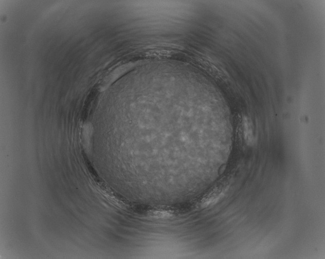 X0000070360649200606231623