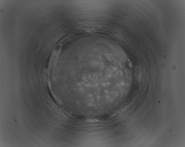 X0000070360650200606231623