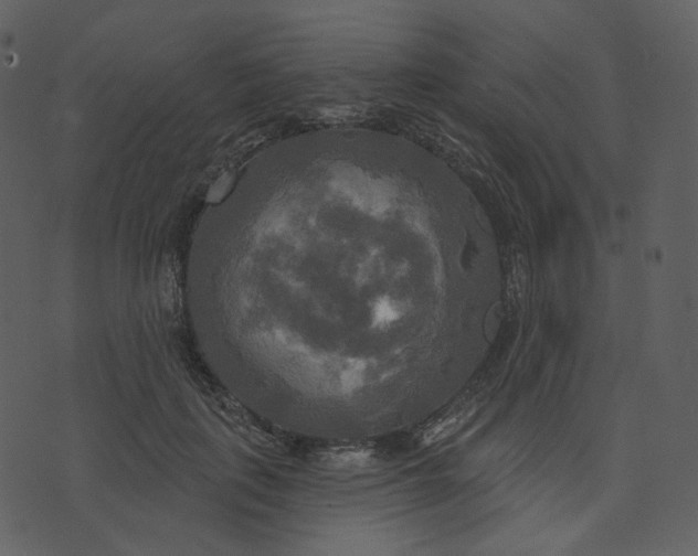 X0000070360651200606231623