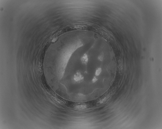 X0000070360653200606231623