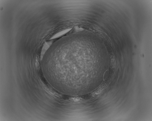 X0000070360654200606231623