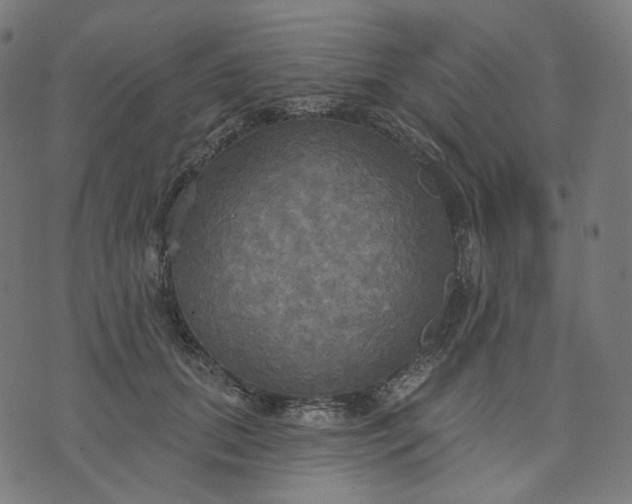 X0000070360655200606231623