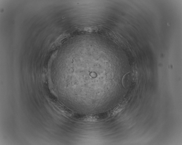 X0000070360656200606231623