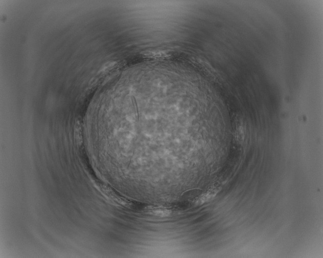 X0000070360658200606231623