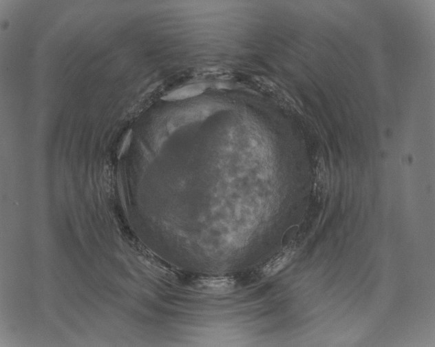 X0000070360659200606231623