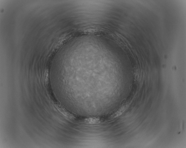 X0000070360660200606231623