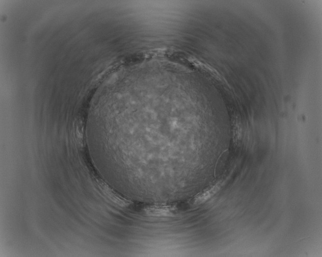 X0000070360661200606231624