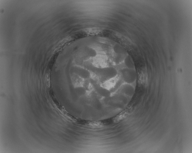 X0000070360666200606231624