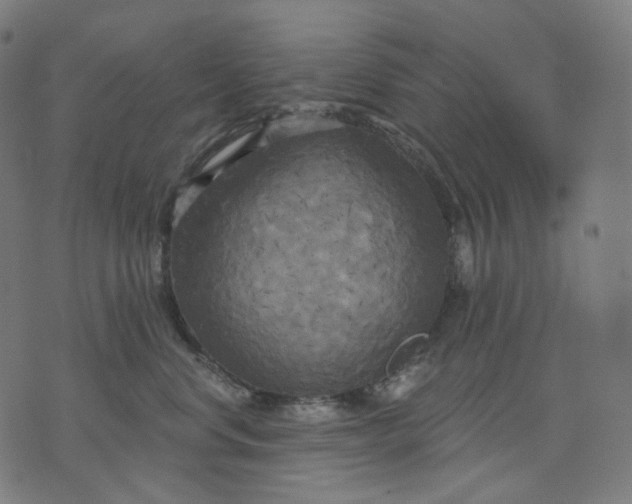 X0000070360668200606231624